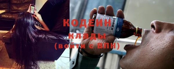шишки Костерёво