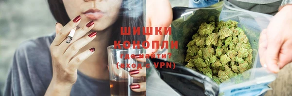 шишки Костерёво