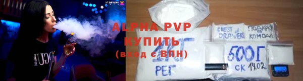 шишки Костерёво