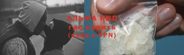 шишки Костерёво