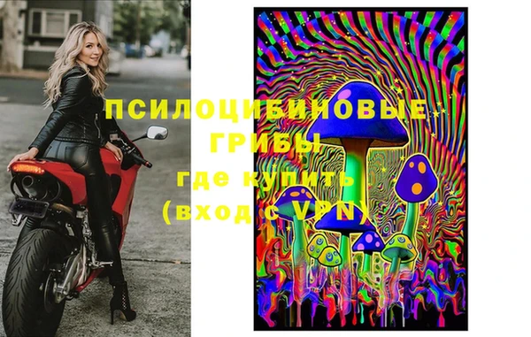 шишки Костерёво