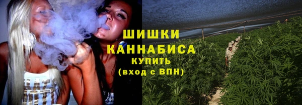 шишки Костерёво