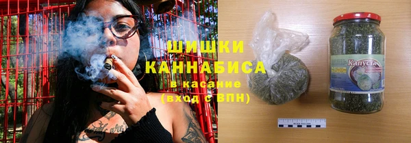 шишки Костерёво
