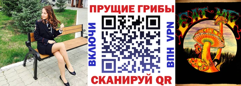 Купить Краснослободск Галлюциногенные грибы Cubensis